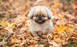 モラハラの証拠を集めるための具体的な方法は？