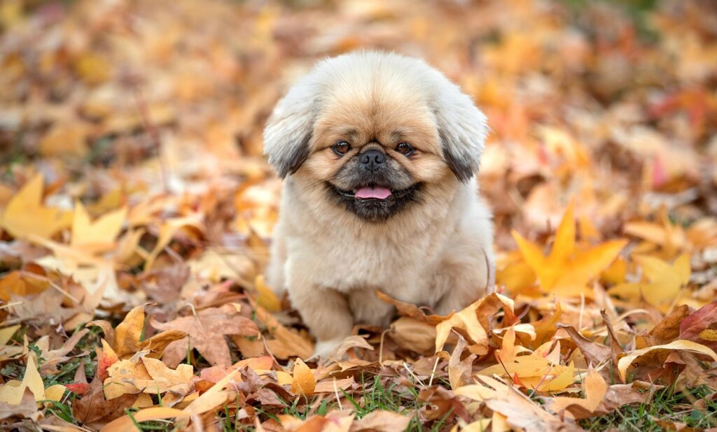 離婚におけるモラハラの証拠はどうやって集めるべき？