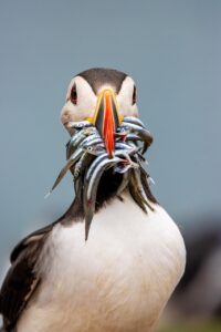 離婚後の生活費シミュレーションはどう行うべきか？