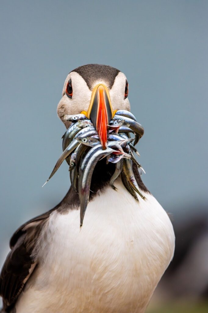 離婚後の生活費シミュレーションはどう行うべきか？