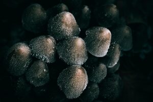 離婚後の養育費の相場はどれくらい？