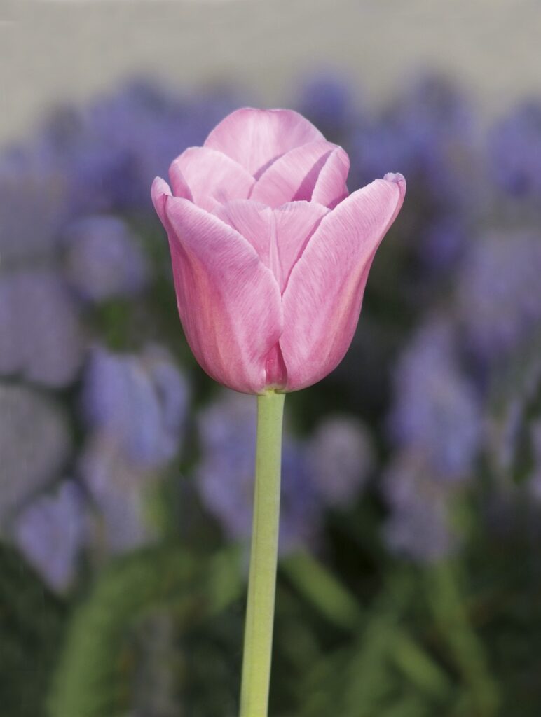 離婚後に一人で生きる不安を解消する方法は？