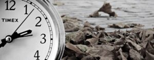 離婚後の住民票の世帯主変更はどうするべき？