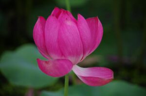 離婚後の引っ越し費用はどれくらいかかる？
